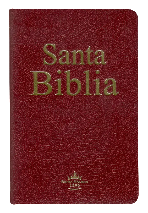 PORTADA (6).webp