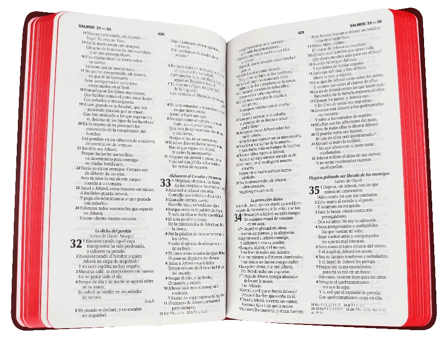 CONTENIDO (5).webp