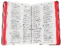 CONTENIDO (5).webp