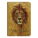 Biblia Reina Valera 1960 Mini Bolsillo Letra Chica Tapa Semiflexible Tapa 4 [RVR (1).webp