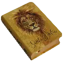 Biblia Reina Valera 1960 Mini Bolsillo Letra Chica Tapa Semiflexible Tapa 4 [RVR (2).webp