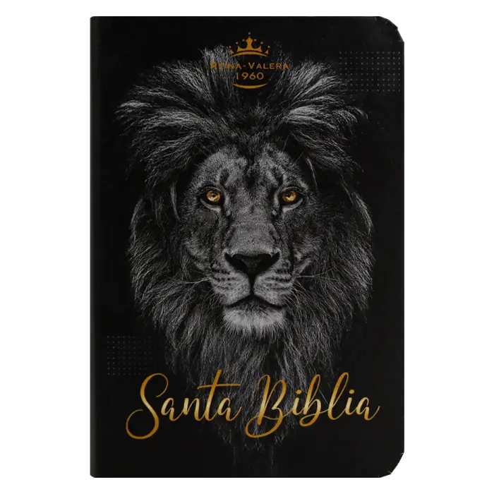 Biblia Reina Valera 1960 Mini Bolsillo Letra Chica Tapa Semiflexible Tapa 3 [RVR (1).webp