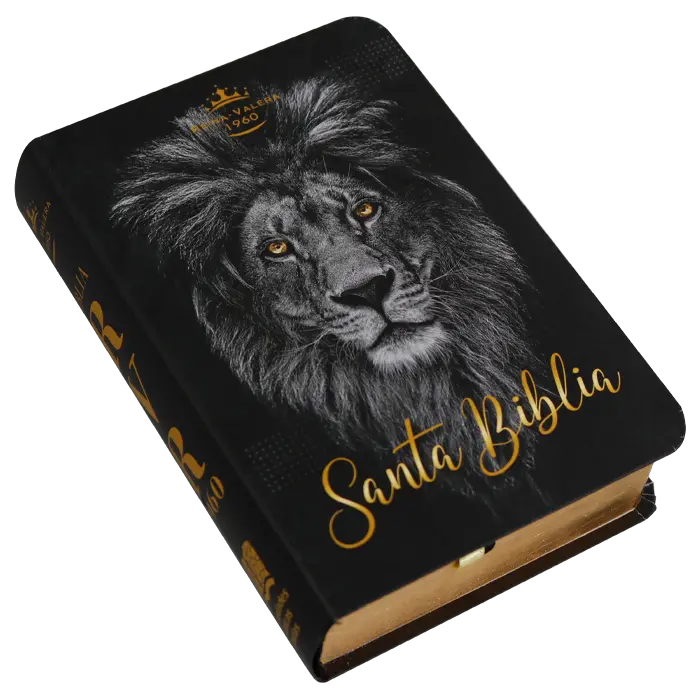 Biblia Reina Valera 1960 Mini Bolsillo Letra Chica Tapa Semiflexible Tapa 3 [RVR (2).webp