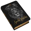 Biblia Reina Valera 1960 Mini Bolsillo Letra Chica Tapa Semiflexible Tapa 3 [RVR (2).webp