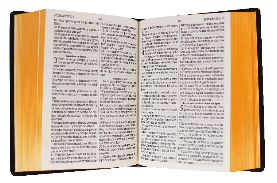CONTENIDO (6).webp