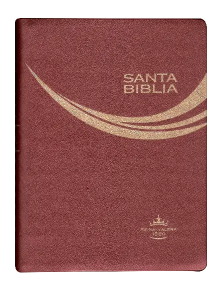 PORTADA (7).webp
