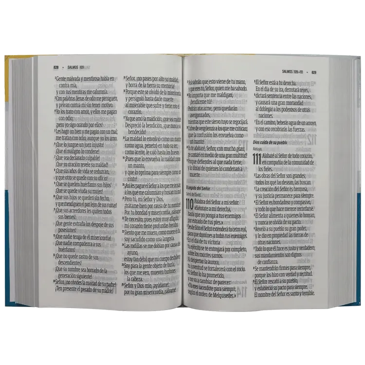 Biblia Reina Valera Contemporánea Mediana Letra Gigante Tapa Dura Colores [RVC.webp