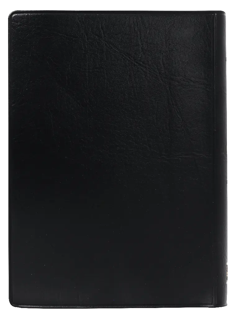 CONTRAPORTADA (1).webp