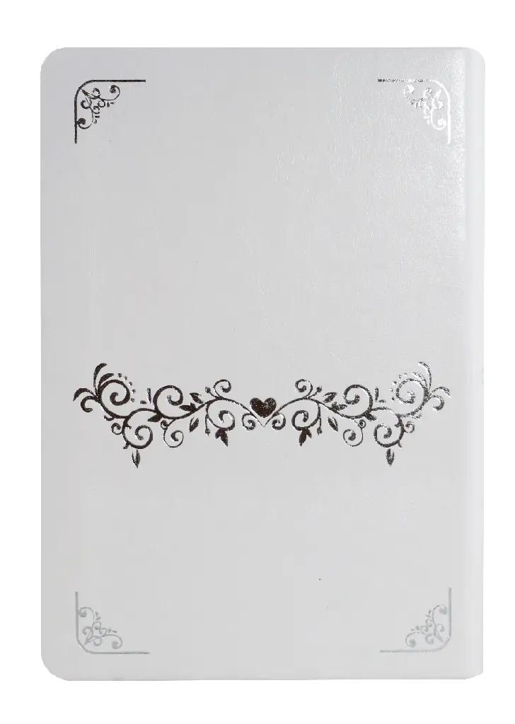 CONTRAPORTADA (4).webp