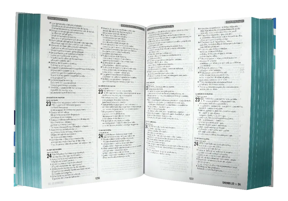 CONTENIDO (4).webp