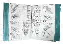 CONTENIDO (4).webp