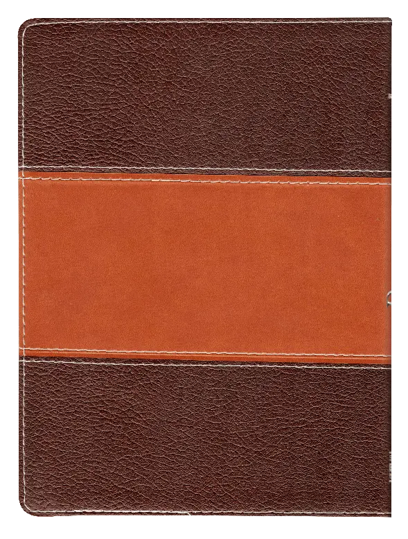 CONTRAPORTADA (6).webp