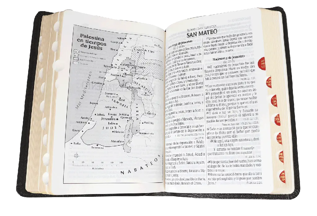 CONTENIDO (6).webp