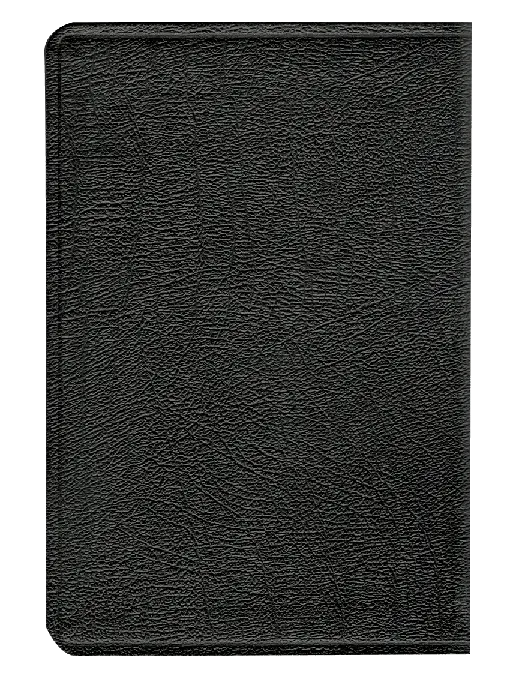 CONTRAPORTADA (8).webp