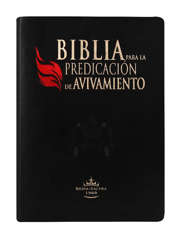PORTADA (11).webp