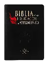 PORTADA (11).webp