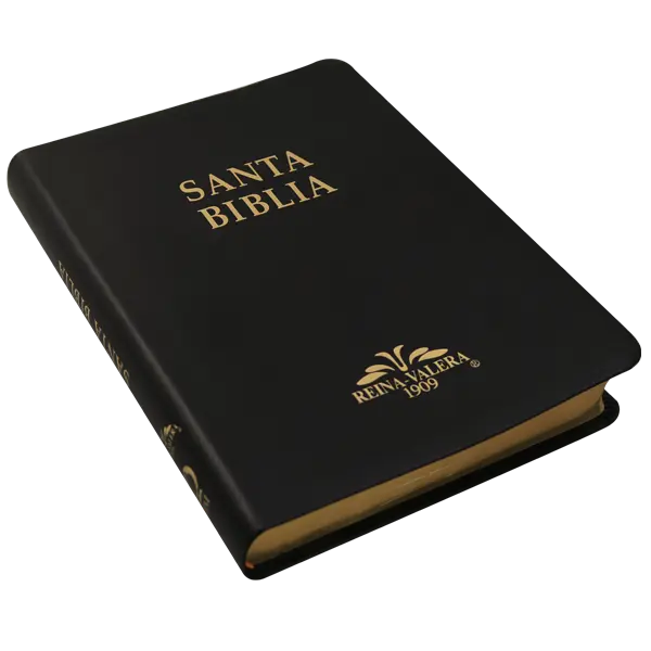 Biblia Reina Valera 1909 Grande Negro [VR085LM] (2).webp