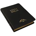Biblia Reina Valera 1909 Grande Negro [VR085LM] (2).webp