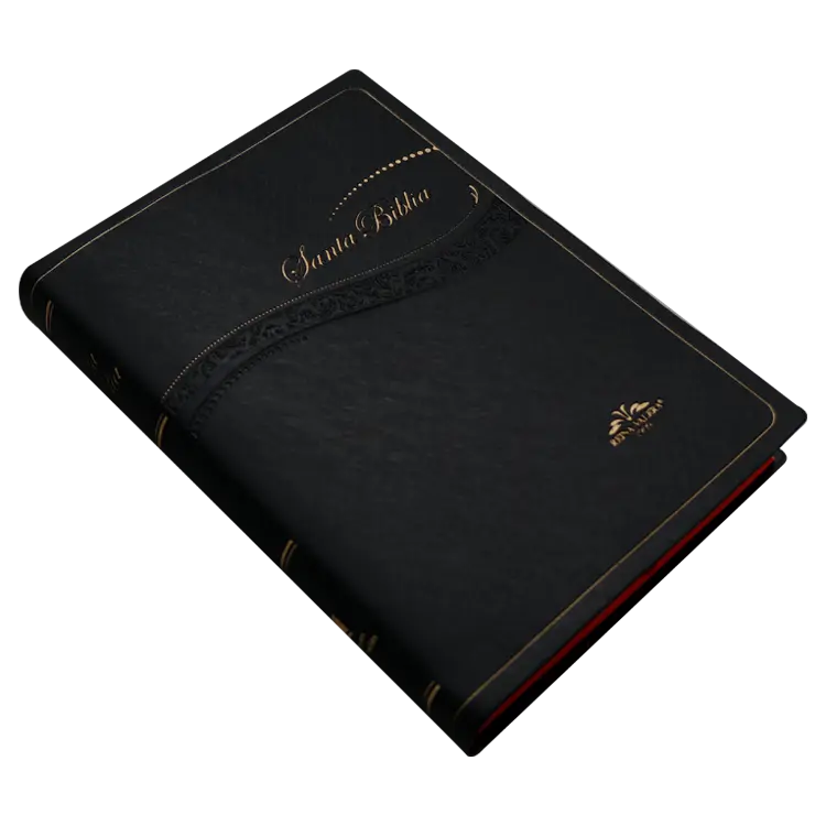 Biblia Reina Valera 1909 Mediana Letra Mediana Vinil Negro [VR052LM] (2).webp