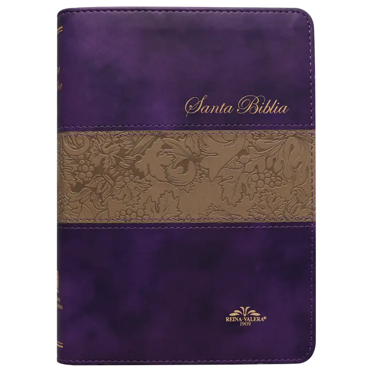 Biblia Reina Valera 1909 Mediana Letra Mediana Imitación Piel Morado Duotono [VR055TI] (1).webp