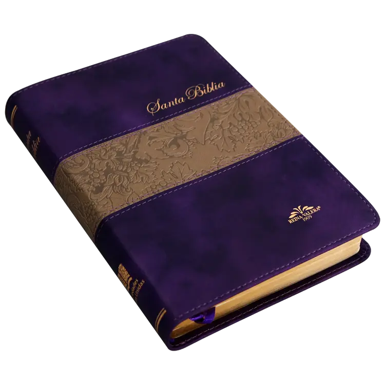 Biblia Reina Valera 1909 Mediana Letra Mediana Imitación Piel Morado Duotono [VR055TI] (2).webp