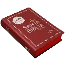 Biblia Reina Valera 1960 Chica Letra Mediana Vinil Vino [RVR042cLG] (2).webp