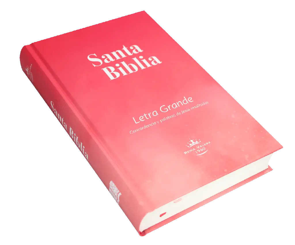 Biblia Reina Valera 1960 Mediana Letra Grande Tapa Dura Rosa [RVR063cPJR] (3).webp