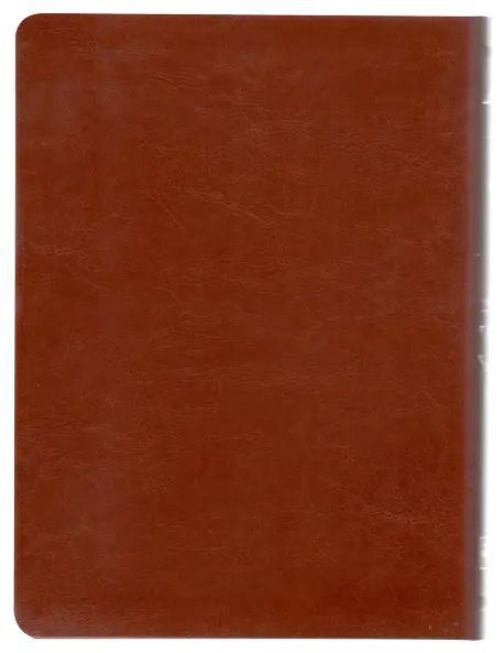 CONTRAPORTADA (13).webp