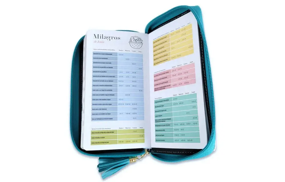 mundo-biblia-biblia-chequera-rv1960-imitacion-piel (1).webp