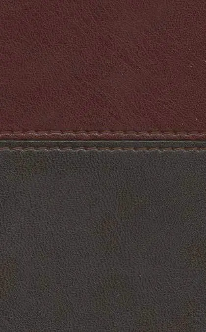 9781414378497.SWCH.webp
