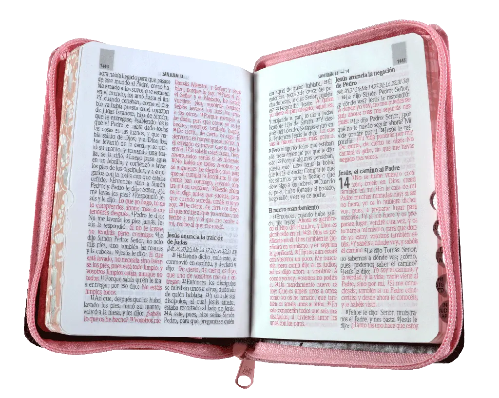 Biblia Reina Valera 1960 Tamaño Bolsillo Letra Mediana Imitación Piel Rosa Marrón (RVR26cLSGiPJRZTI).webp