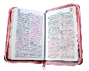 Biblia Reina Valera 1960 Tamaño Bolsillo Letra Mediana Imitación Piel Rosa Marrón (RVR26cLSGiPJRZTI).webp