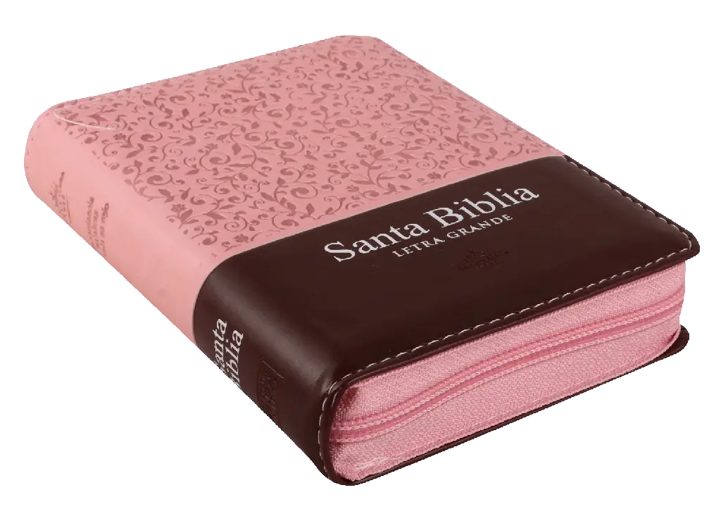 Biblia Reina Valera 1960 Tamaño Bolsillo Letra Mediana Imitación Piel Rosa Marrón (RVR26cLSGiPJRZTI) (3).webp