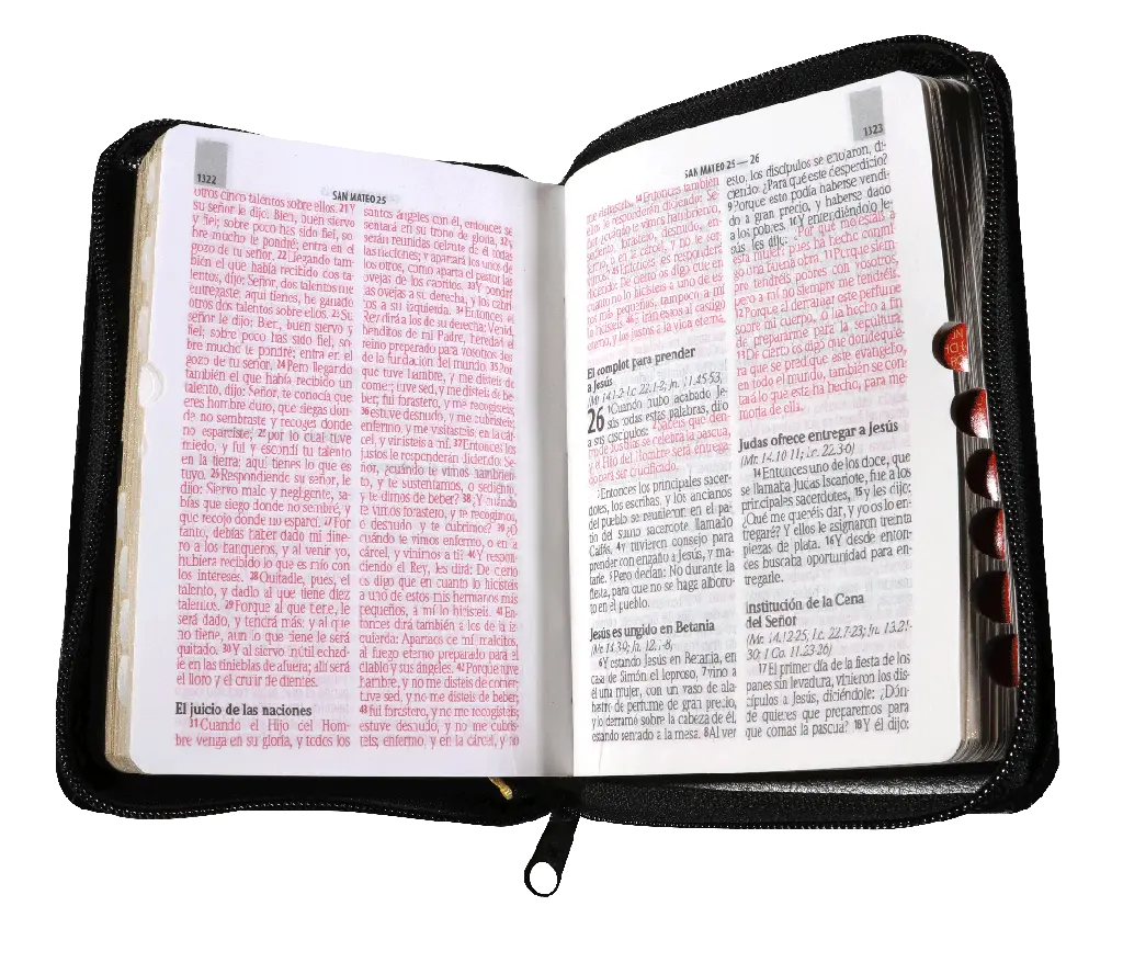 Biblia Reina Valera 1960 Tamaño Bolsillo Letra Grande Imitación Piel Negro (RVR26cLSGiPJRZTI).webp