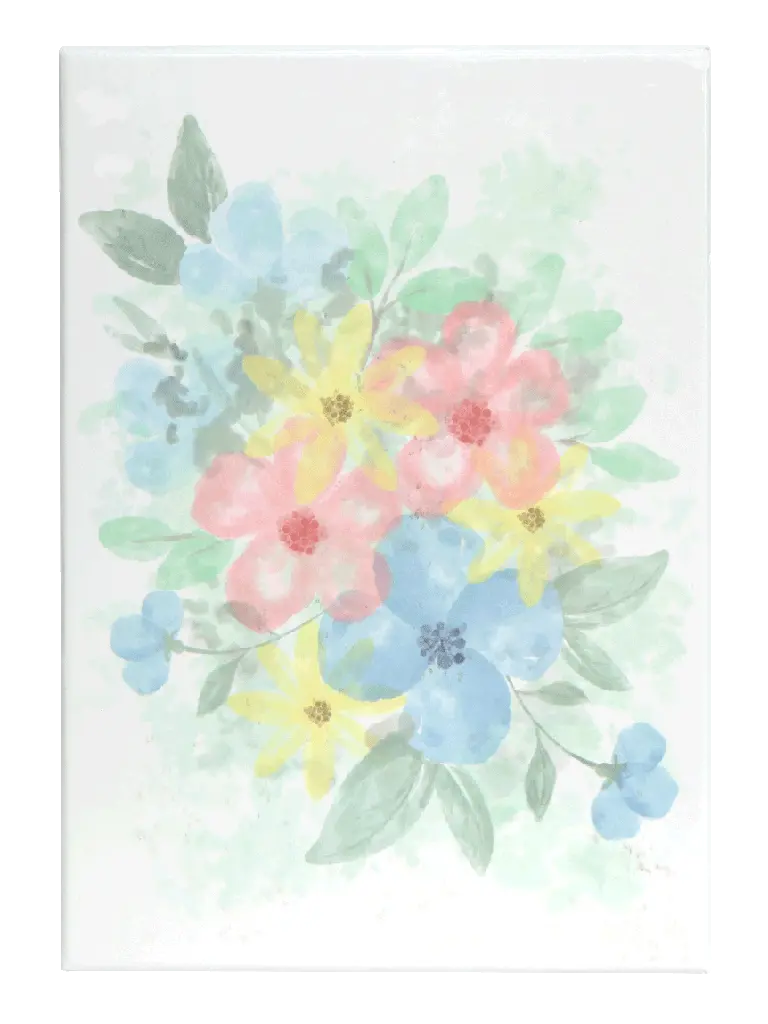 CONTRAPORTADA (2).webp