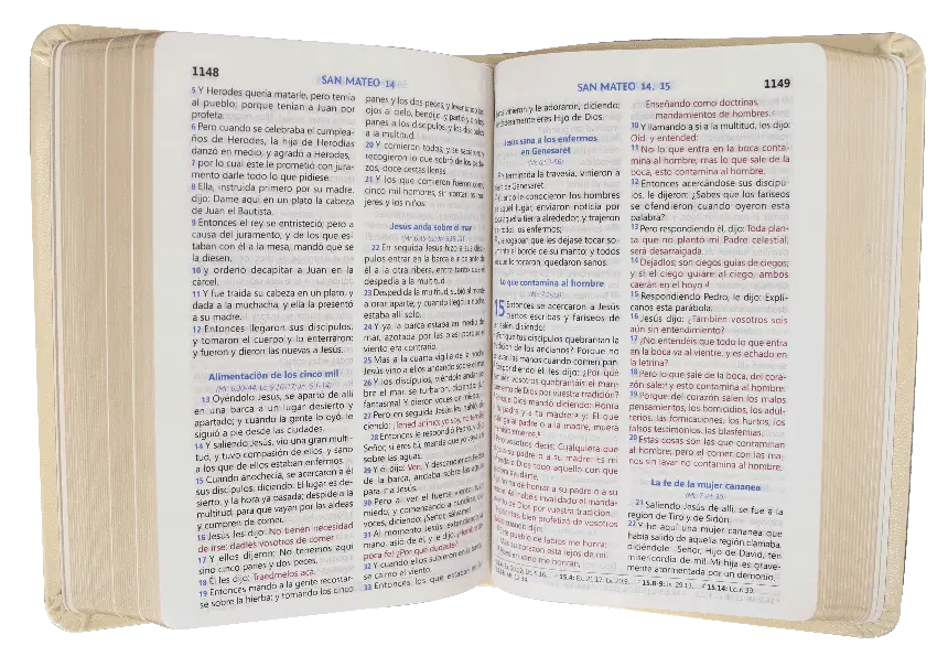 CONTENIDO (4).webp