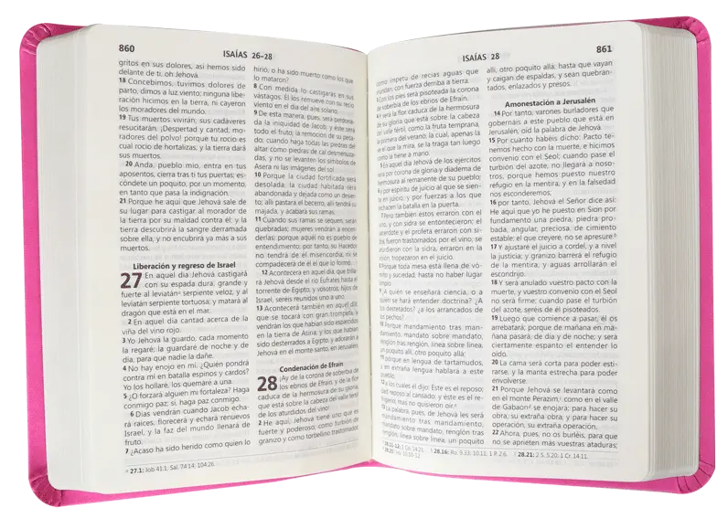 CONTENIDO (5).webp