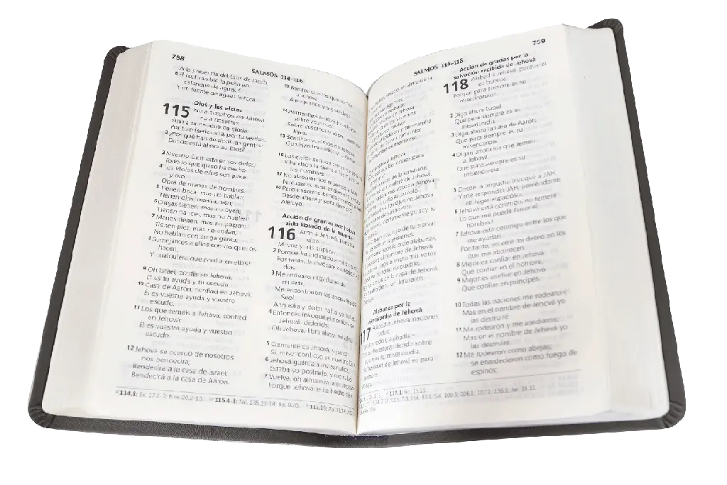 CONTENIDO (7).webp