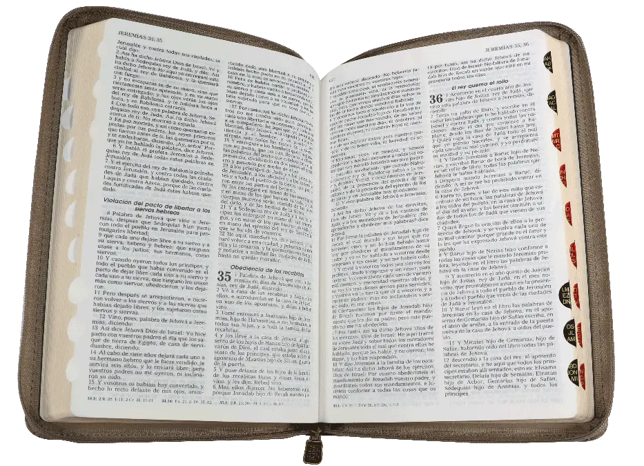 CONTENIDO (8).webp