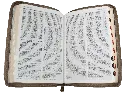CONTENIDO (8).webp