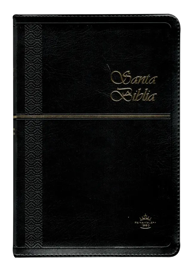 PORTADA (8).webp