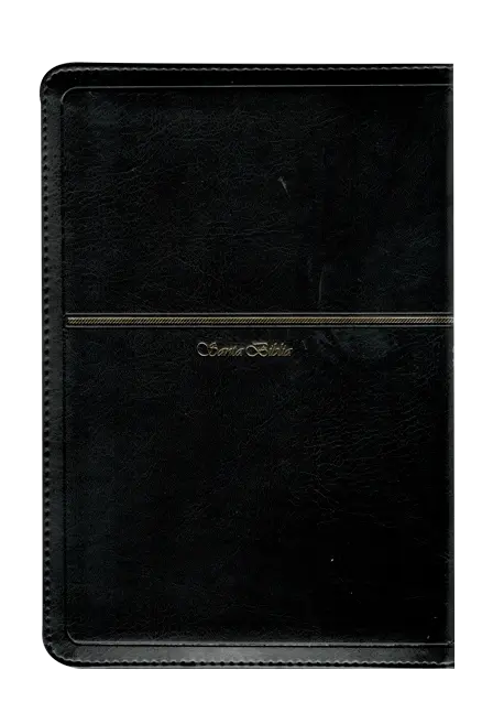 CONTRAPORTADA (8).webp