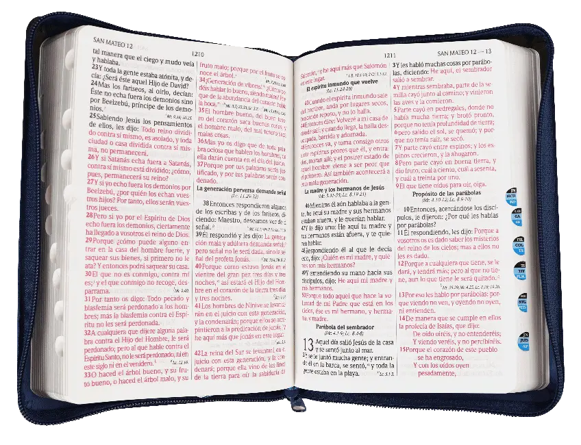 CONTENIDO (10).webp