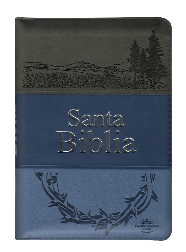 PORTADA (9).webp
