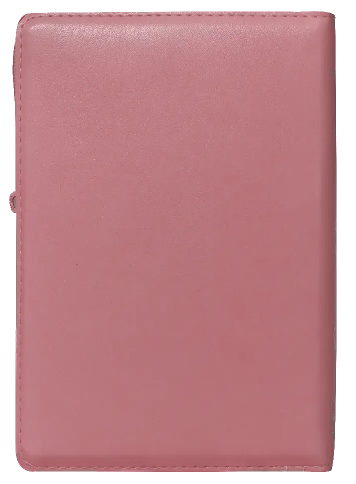 CONTRAPORTADA (10).webp