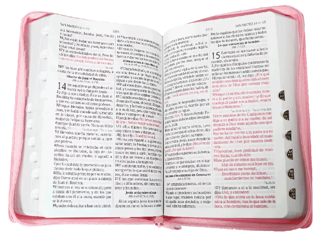 CONTENIDO (11).webp