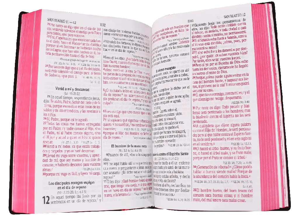 CONTENIDO (12).webp