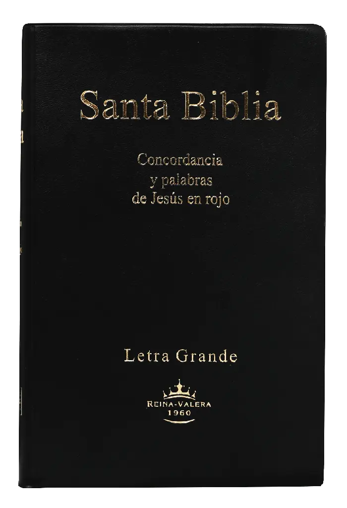 PORTADA (11).webp