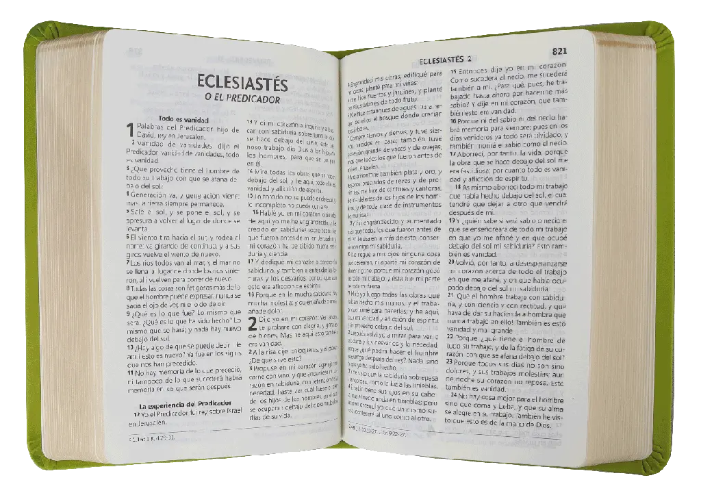 CONTENIDO (13).webp