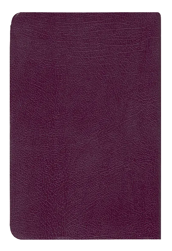 CONTRAPORTADA (13).webp